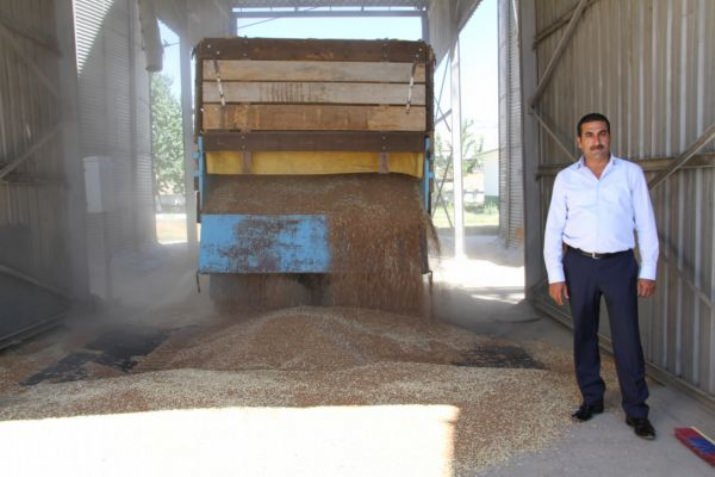 Hububatta Hasat Dönemi Başladı